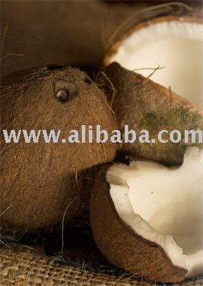 Coconut From The Philippines