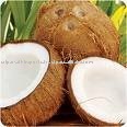 Fresh Coconuts