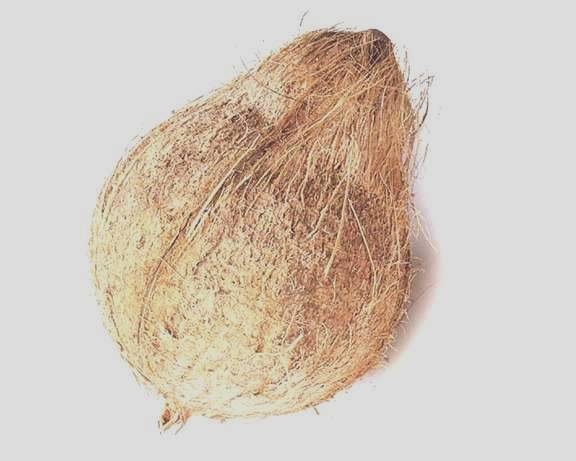 Fresh Coconut
