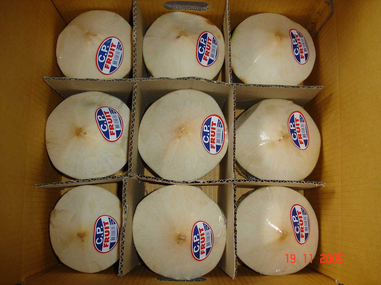 Coconut  From   Thailand 