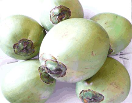  FRESH   JELLY  NUTS
