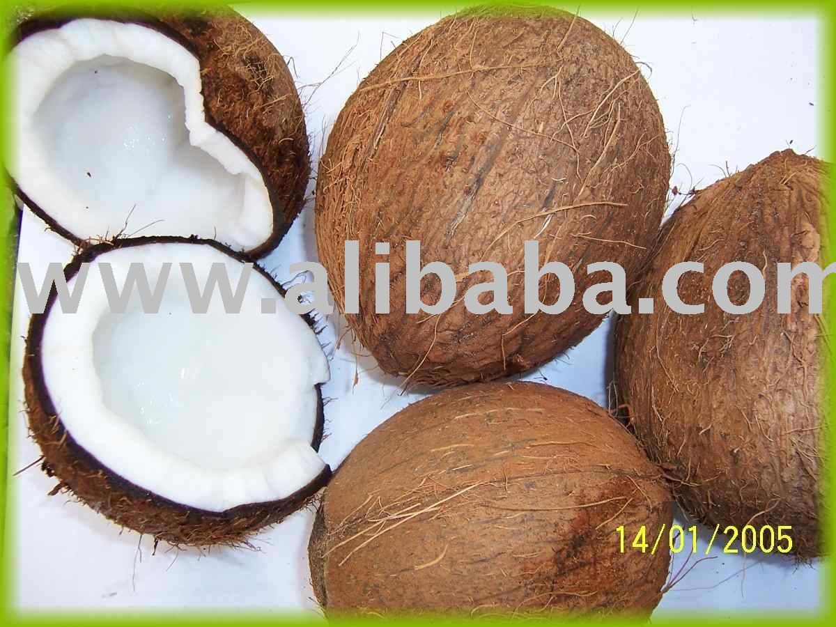 Coconut,Coconut oil, King Coconut