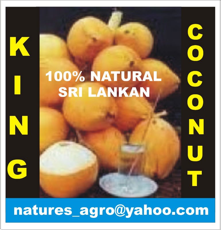 We Can Supply Fresh Yellow Coconut From Sri Lanka Sri Lanka Nature S Price Supplier 21food