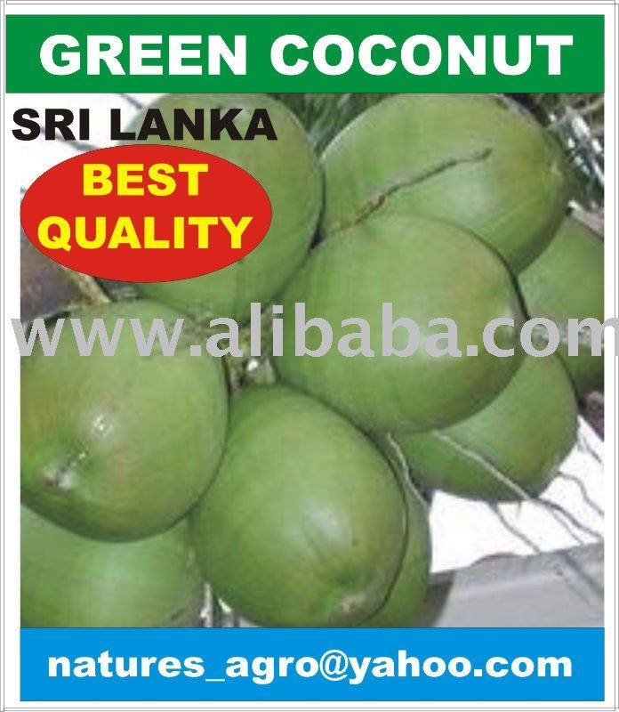 We can supply FRESH GREEN  COCONUT with Tast Water from Sri Lanka