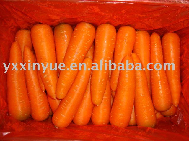 Fresh Carrot