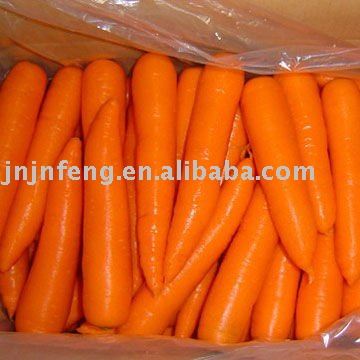 fresh good carrot