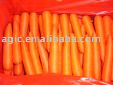 Fresh Carrot