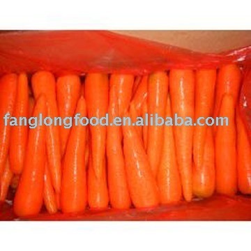 carrot