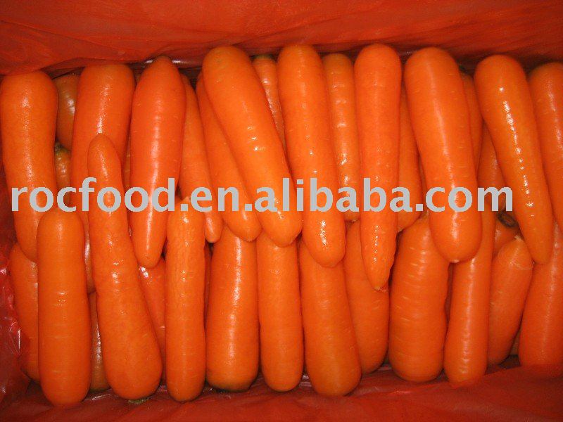 Chinese Fresh Carrot