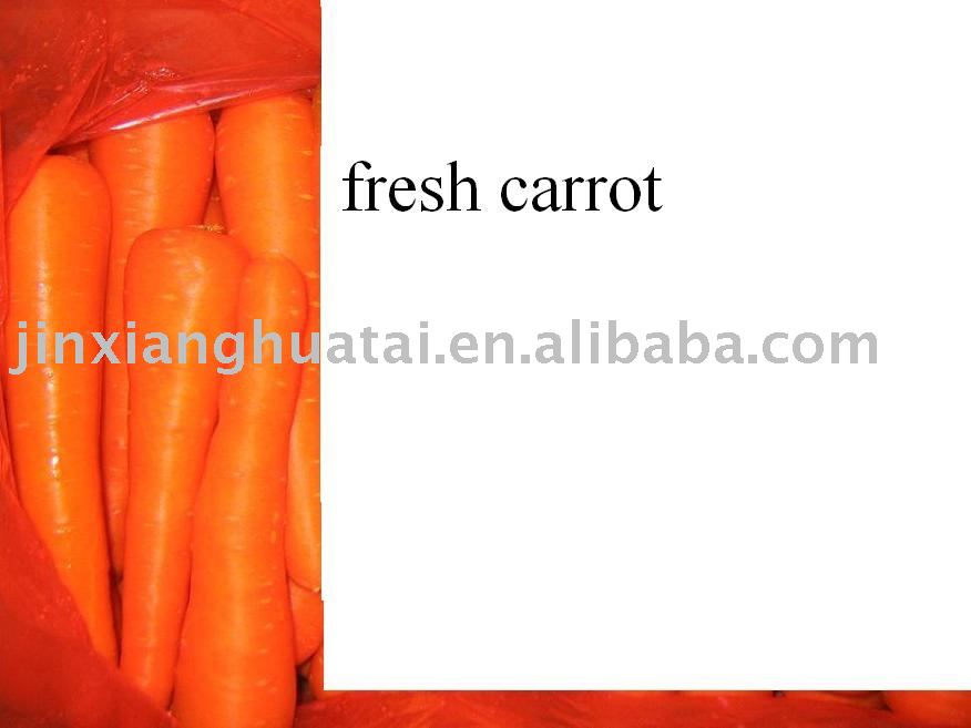 carrot