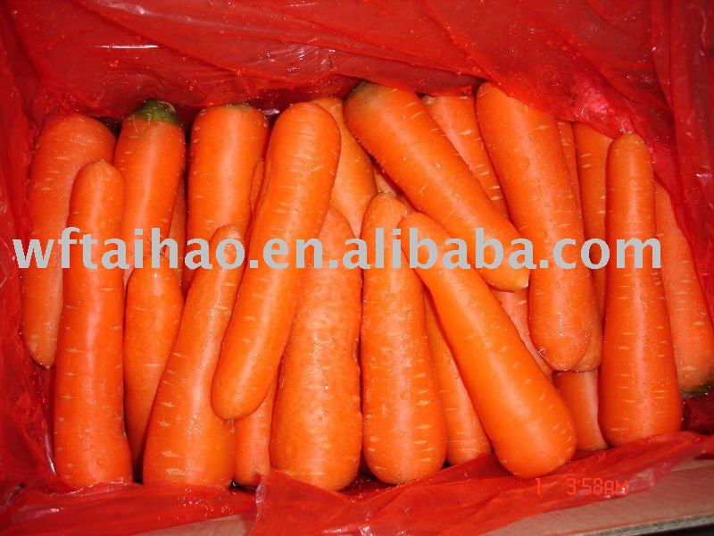 2010 Fresh Carrot