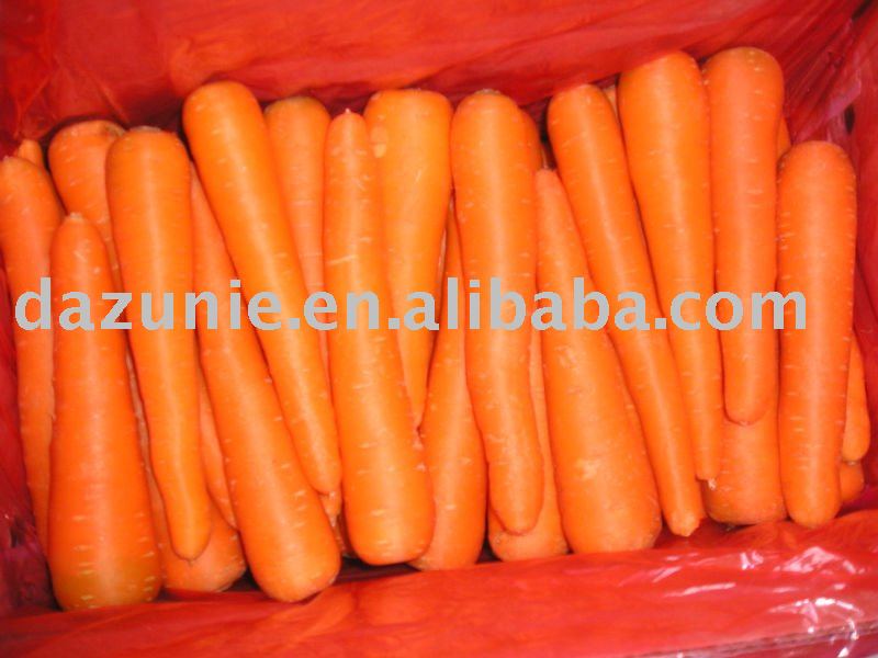 2011 New Crop Fresh Carrot