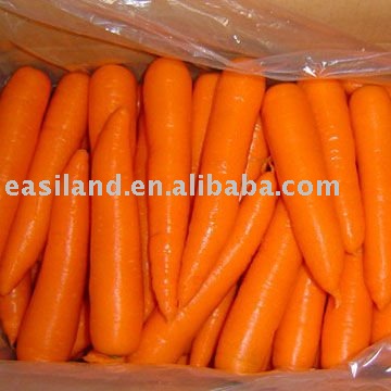 fresh carrotNO.18