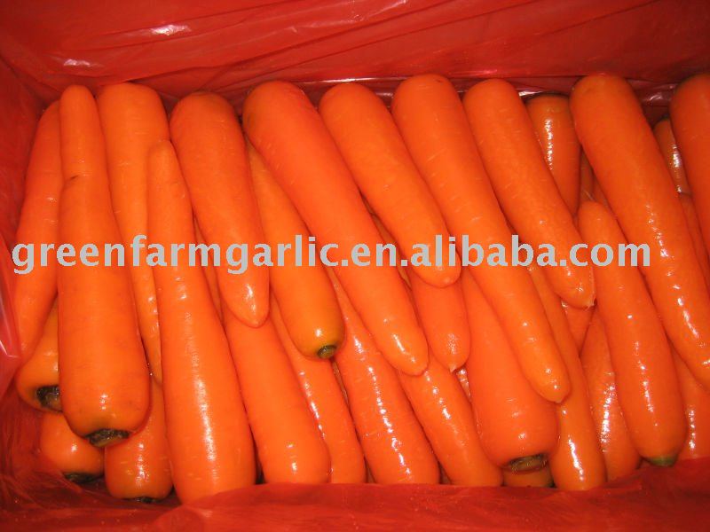 new 2011 fresh carrot