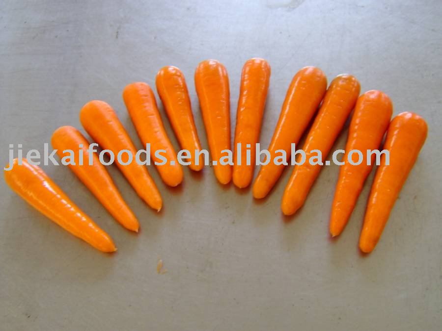 red  carrot   new   crop 
