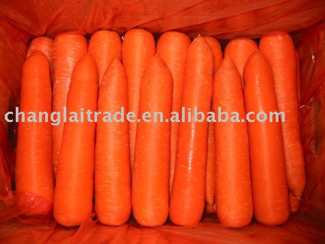 Fresh Carrot