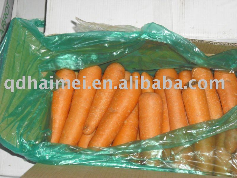 fresh carrot.