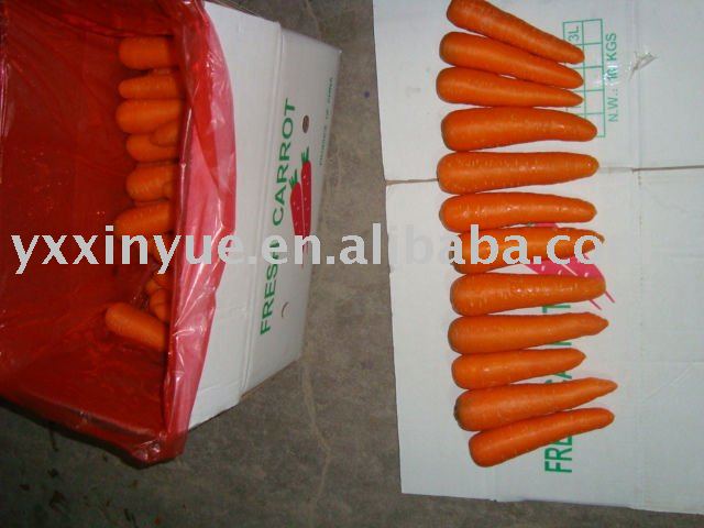 Chinese fresh carrot
