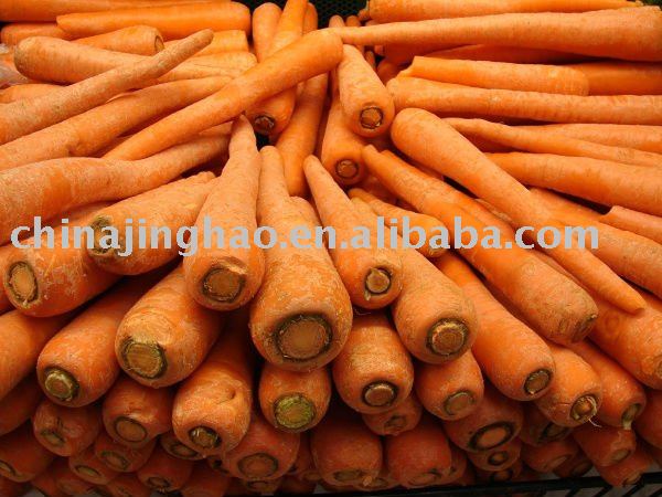 Farm Fresh Red Carrot
