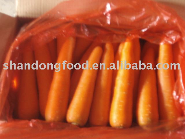 fresh carrot