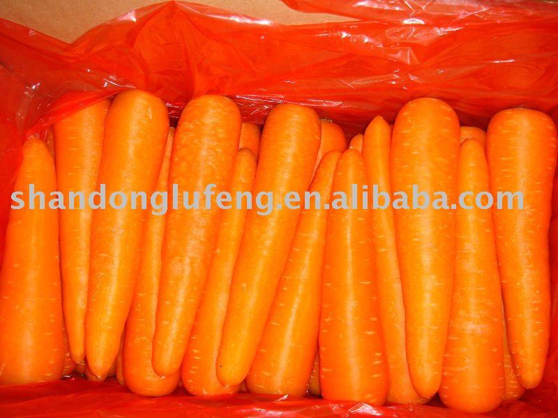 Fresh carrot