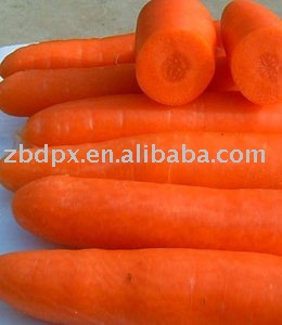 18cm Chinese fresh carrot