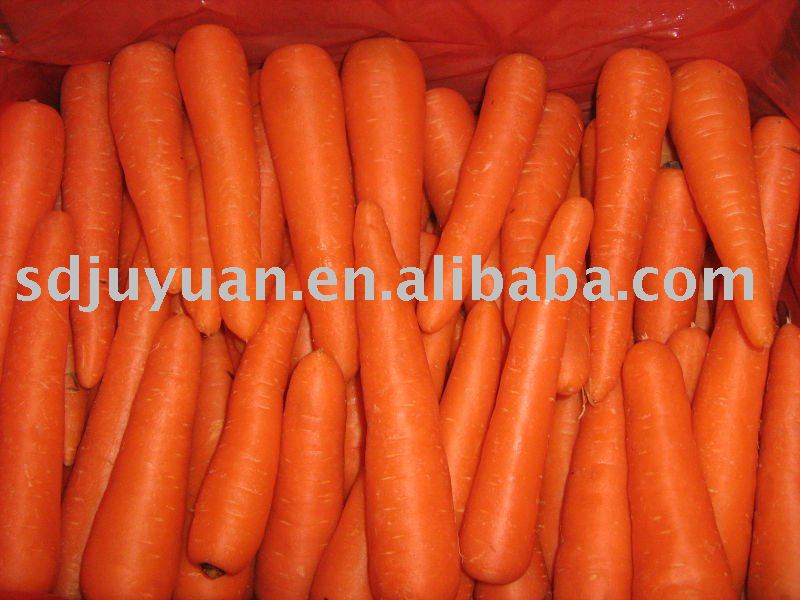 2011 carrot of high quality