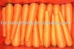 Fresh Carrot