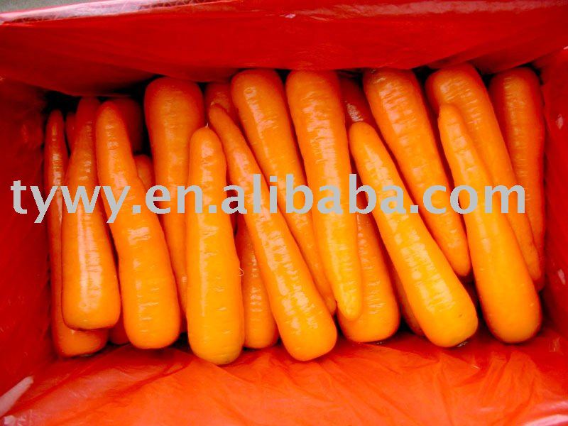 fresh carrots