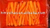 fresh carrot