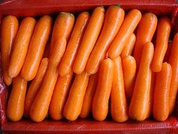 fresh carrot