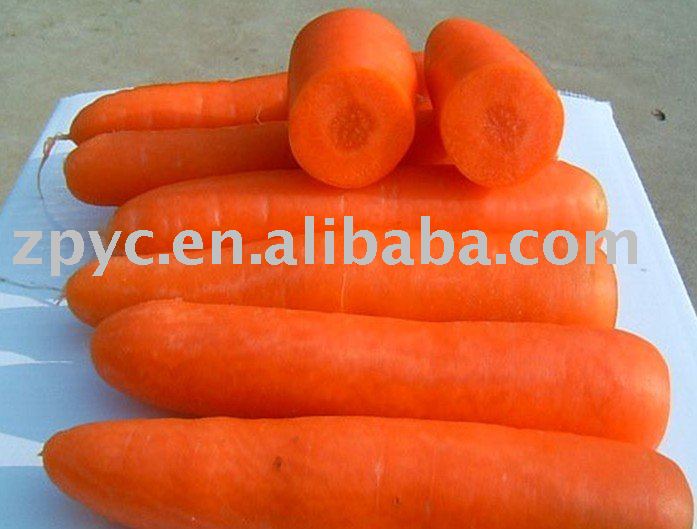 red carrot