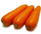 Carrot