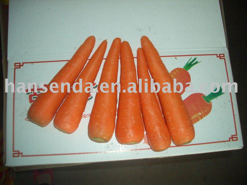 fresh carrot