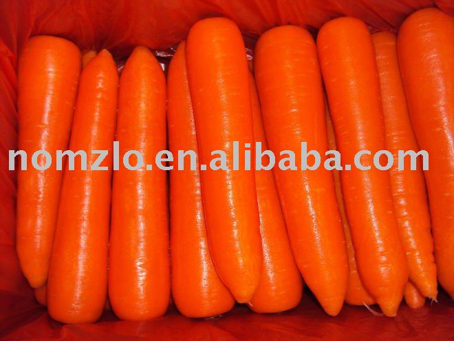 Chinese Healthy Red Carrot