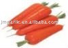 Fresh  baby Carrot