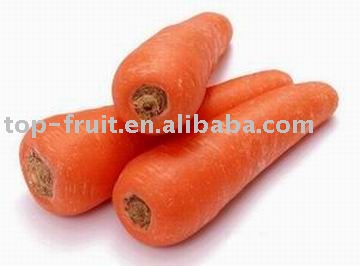Chinese fresh carrot