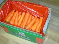 Fresh carrot;fresh ginger;fresh garlic shoot