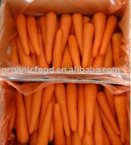 chinese fresh carrot