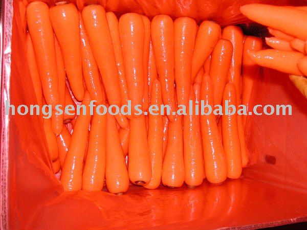 Chinese fresh  carrots