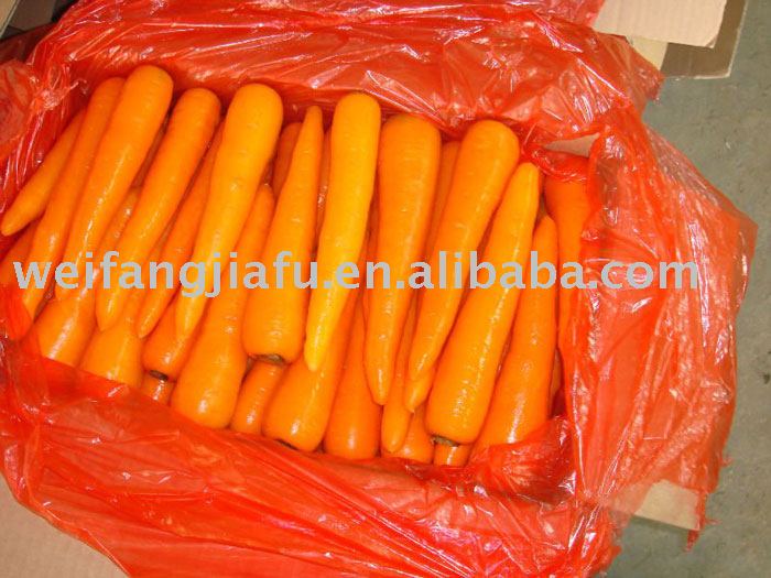 80g up Chinese fresh carrot
