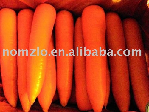 The Sweet Carrot