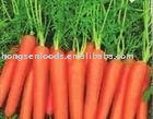 Chinese fresh red carrot