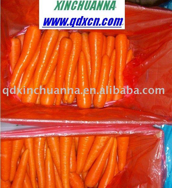fresh red carrots