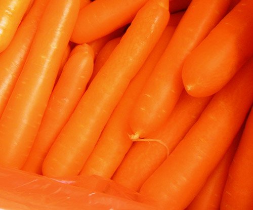 carrot