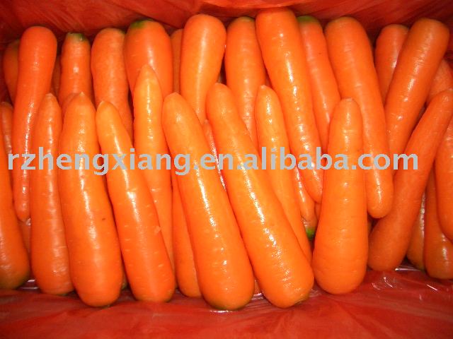 carrot