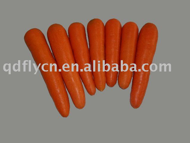 Fresh carrot