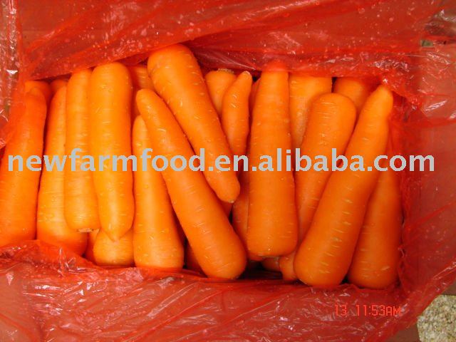 Fresh Carrot