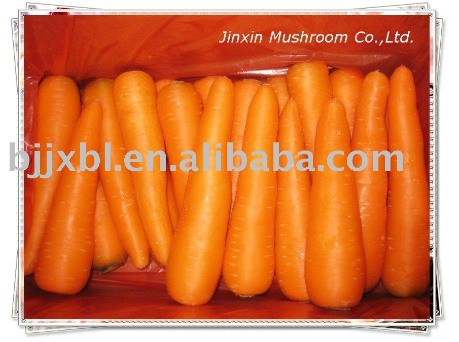 Fresh Carrot