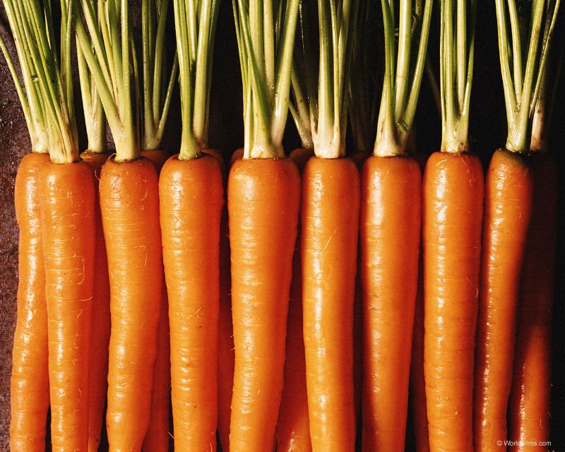 Chinese carrot
